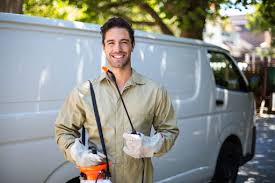 Best Residential Pest Control  in Reed Creek, GA